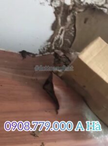 bàn bị mối ăn hư hại nặng. Dịch vụ diệt mối DCT Toàn Phát 0908.779.000 A Hà