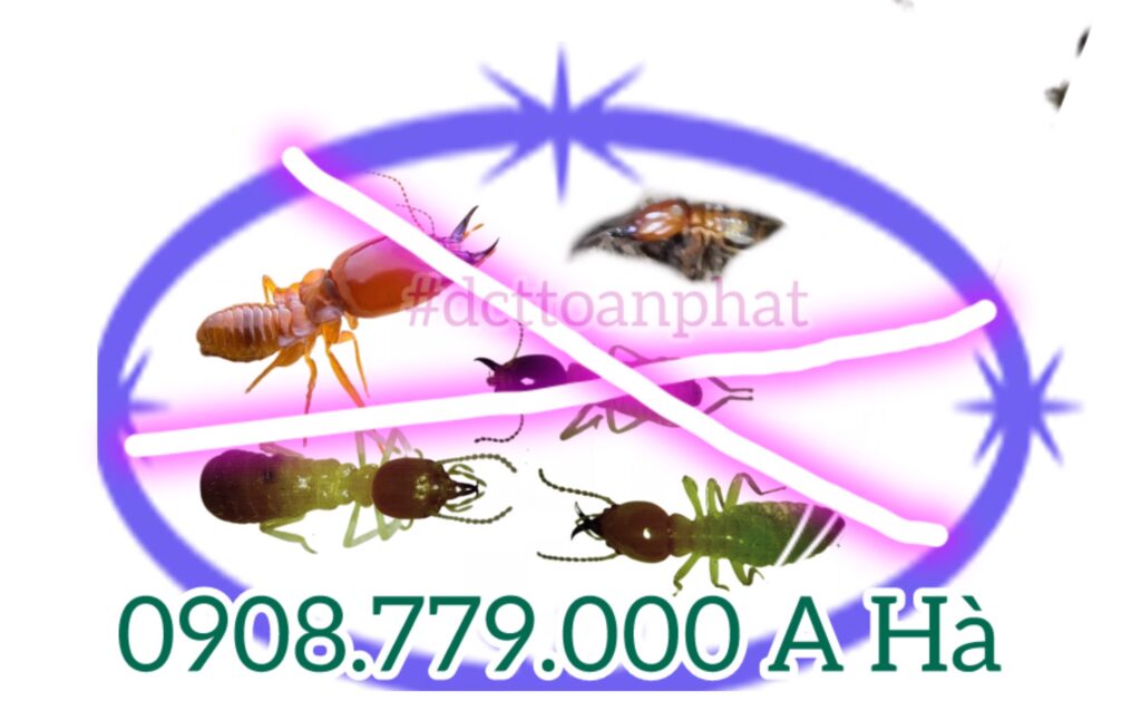 Kiểm soát mối tại Quận Gò Vấp 