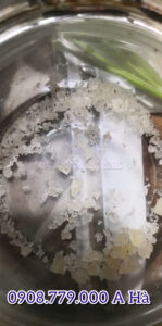 Đường một tác nhân  thu hút   gián 