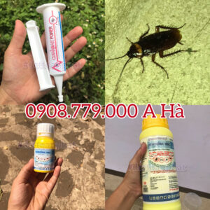 Kiểm Soát Gián Surinam Bawnmfg các sản phẩm chuyên diệt gián