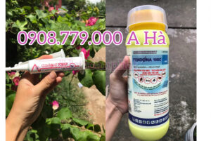 Các sản phẩm thuốc diệt gián- gel diêt gián do dcttoanphat : 0908.779.000 a hàCác sản phẩm thuốc diệt gián- gel diêt gián do dcttoanphat : 0908.779.000 a hà
