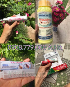 Thuốc Diệt Gián & Mồi Gel Diệt Gián Tại DCTToanPhat: 0908.779.000 A HÀ 