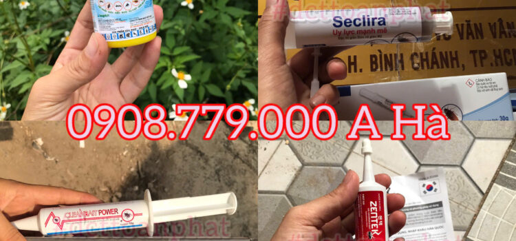 Cửa Hàng Thuốc Diệt Gián Hiệu Quả An Toàn Thuốc Diệt Gián & Gel Diệt Gián Tại TP Hồ Chí Minh